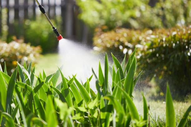 24/7 Emergency Cockroach Control experts in Camp Croft, SC