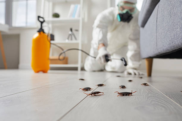 Affordable Cockroach Control solutions in Camp Croft, SC