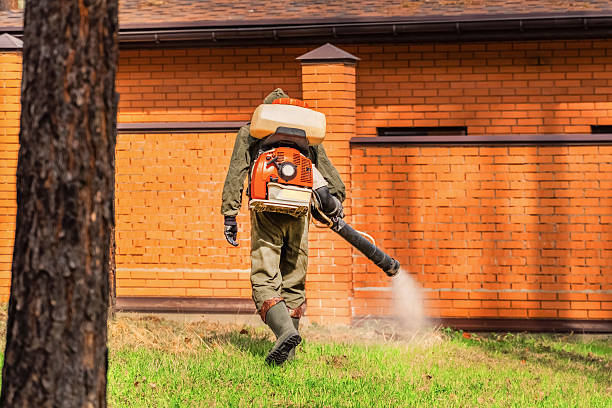 Top rated local Cockroach Control specialists in Camp Croft, SC